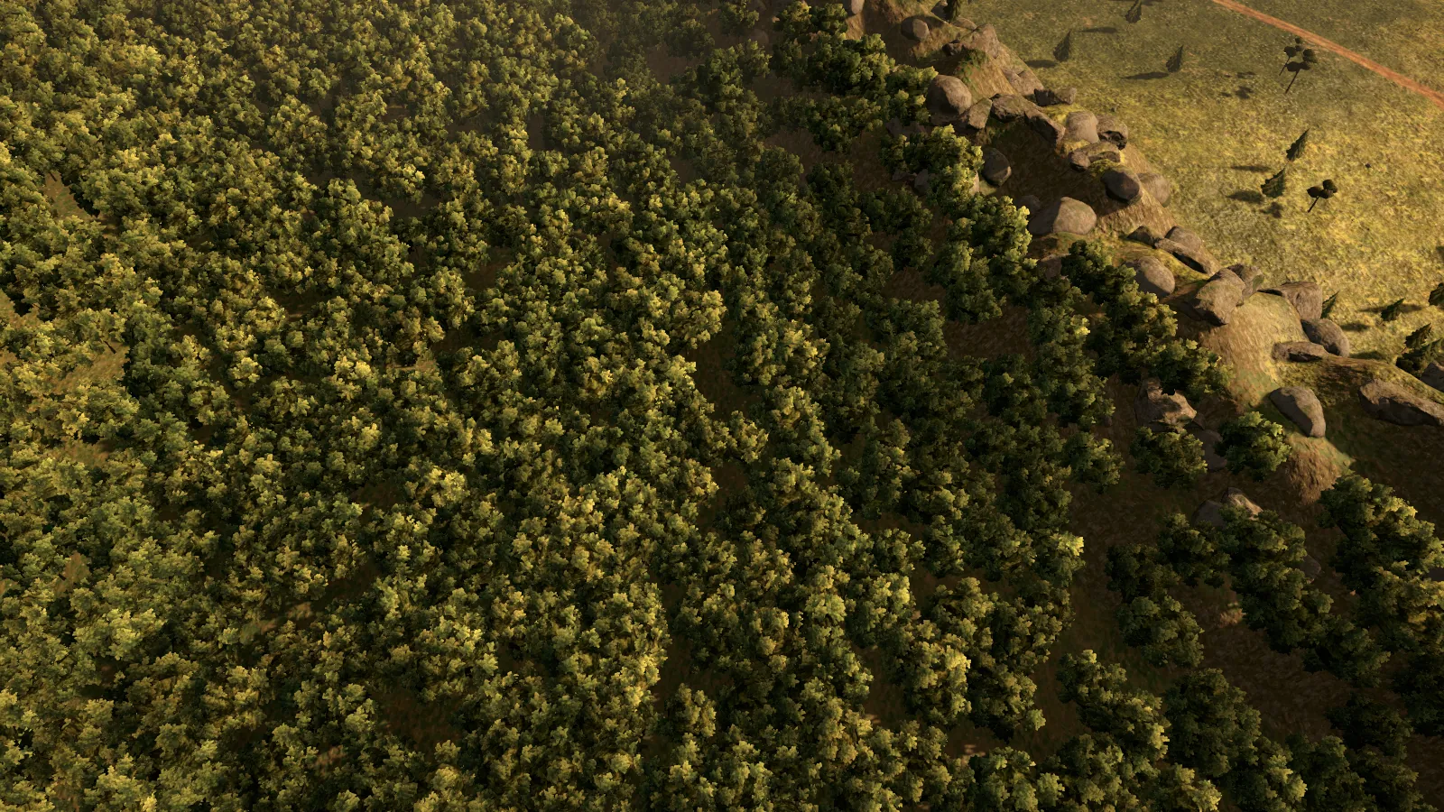 Le bois ancien au pied des affleurements rocheux
